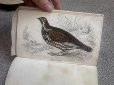 Antique Book  Naturalists
