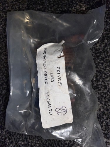 Glowworm 202503 s202503 - glowworm,