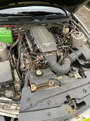 Ford mustang engine v8 - engine,