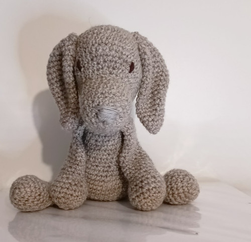 Molly the grey - , weimaraner