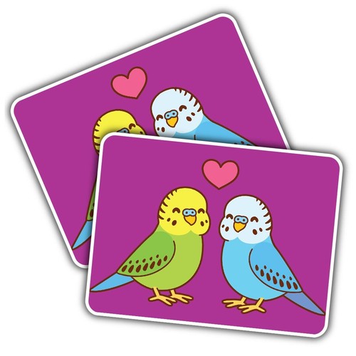 Vinyl sticker budgie - vinyl,