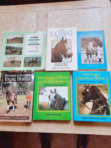 Horse books bundle - books,