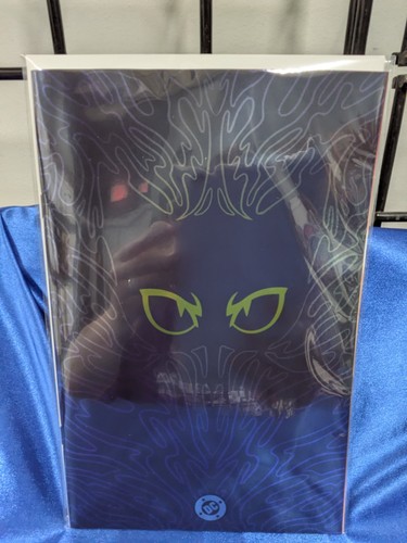 Absolute catwoman cover - catwoman,