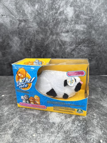 Zhu pets - zhu, hamster