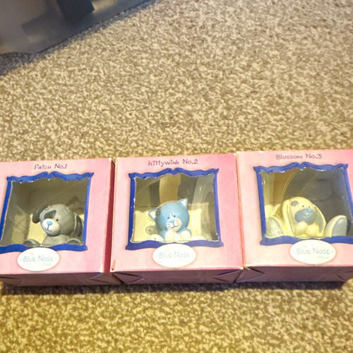 Blue nose friends boxed - blue,