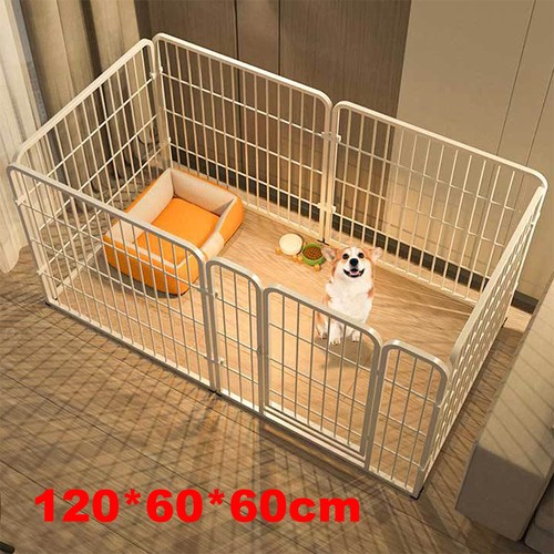 Panel dog pet - 6,