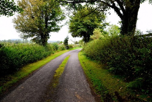Photo 6x4 manse - photo, road