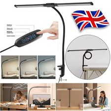 Double Head LED Desk Lamp