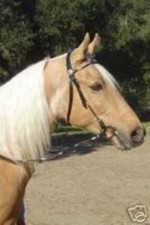 BLACK Leather Western Poco