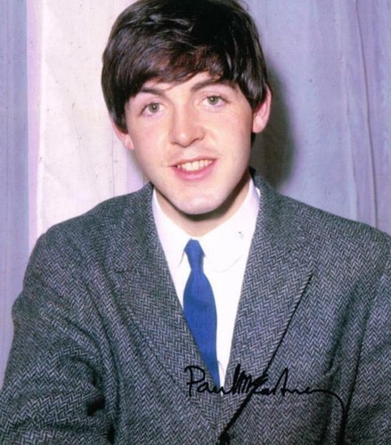 Beatles paul mccartney signed - beatles,