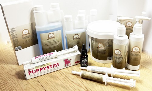 Puppy survival colostrum - survival,
