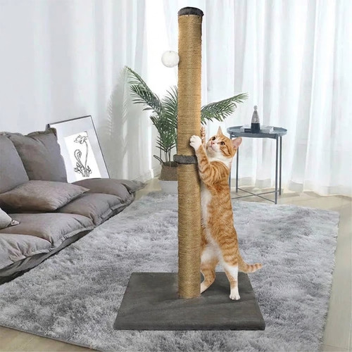 74cm tall large cat scratching - large,
