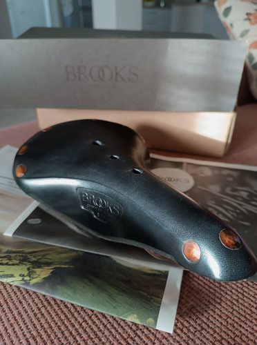 Brooks champion special - brooks,