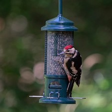 Brome Squirrel Buster Seed