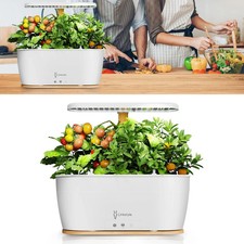 Smart Hydroponics Growing