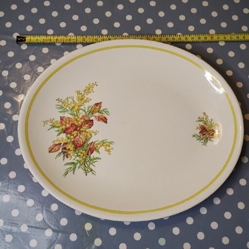 Burleigh ware plate - burleigh,