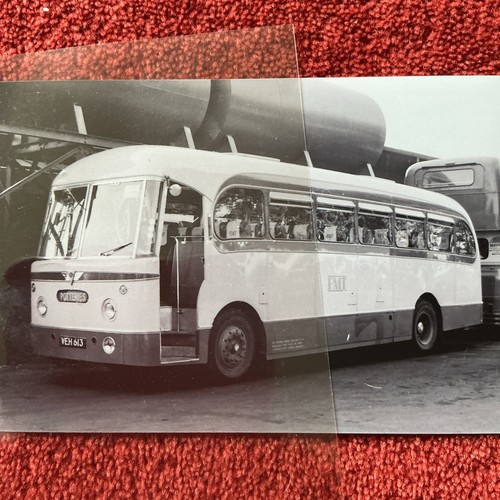 Pmt bus photo - bus,