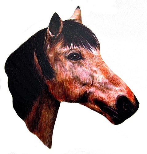 Highland dun horse clock - dun,