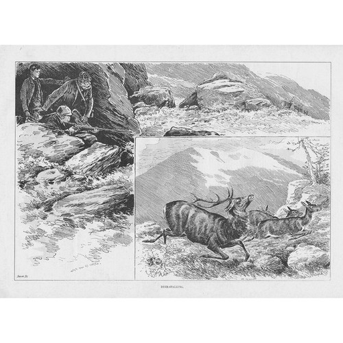 Deer stalking antique print - deer,