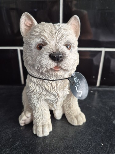 West highland terrier westie - terrier,
