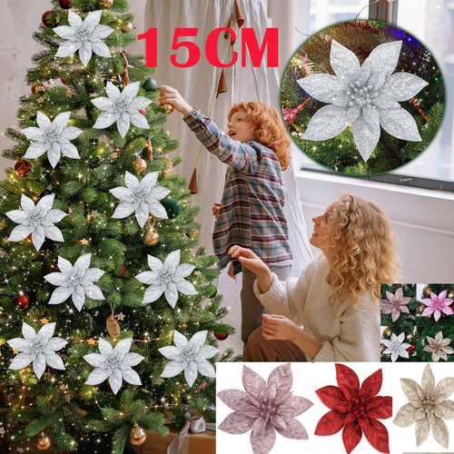 10x christmas large - large, poinsettia