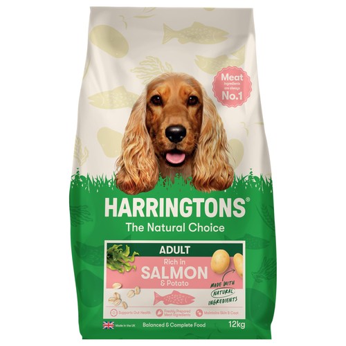 Complete dry adult dog food - dog,