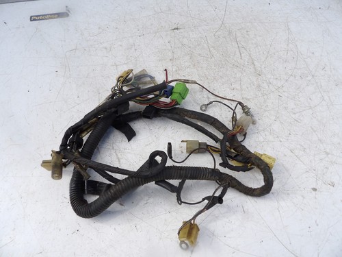 Suzuki 100 erz loom - ts,