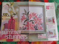 Cross stitch chart stargazer - chart,