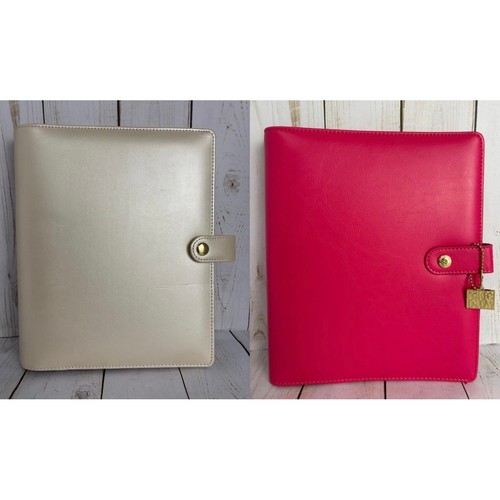 Carpe diem pink and champagne - carpe,
