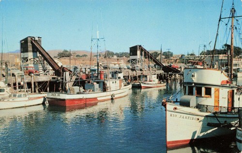 Postcard commercial fishing - commercial,