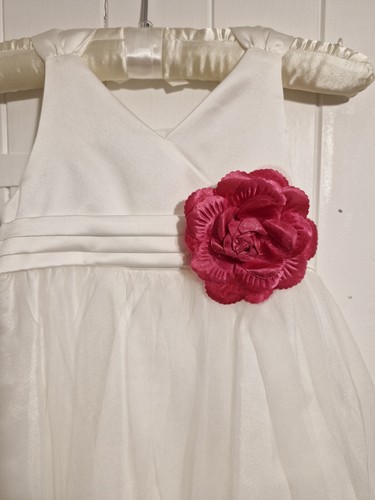 Tigerlily dress - tigerlily,