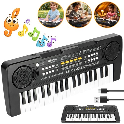 Electronic piano keyboard - electronic,