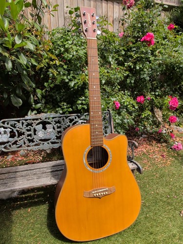 Tanglewood evolution tw28 csr - tanglewood,