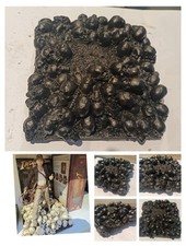 Unpainted Custom Diorama Base