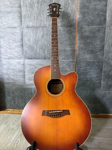 Ibanez acoustic electric - ibanez,