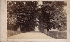 Cdv gardens carshalton - of,