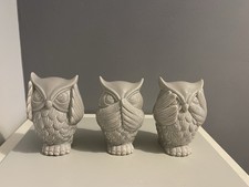 Humorous Owl See, Hear & Speak