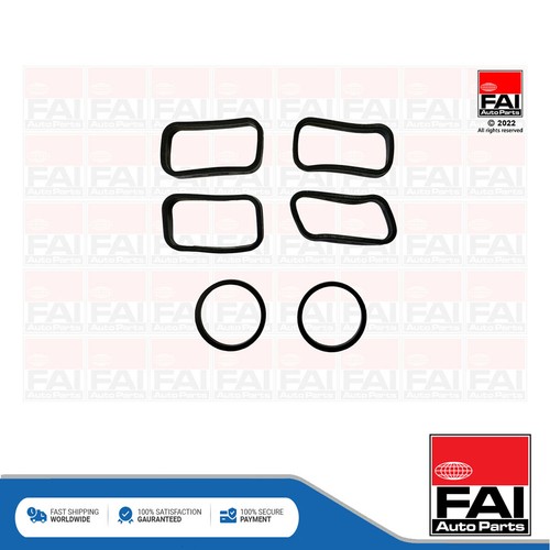 Fits trafic qashqai trail - fits,