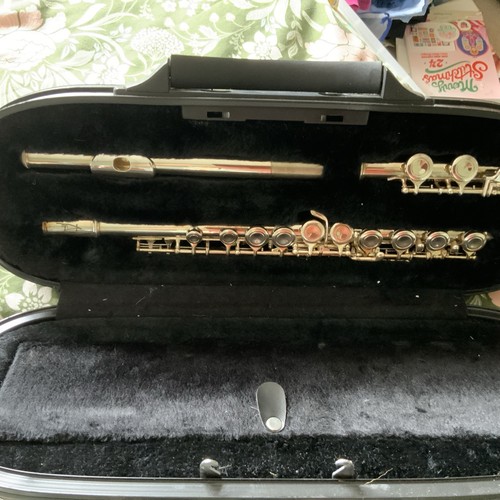 Flute musical instrument with - musical,