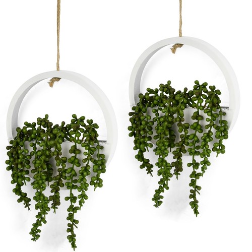 Pack hanging plant - 2,