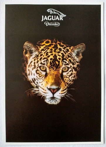 1994 jaguar daimler sales - jaguar,