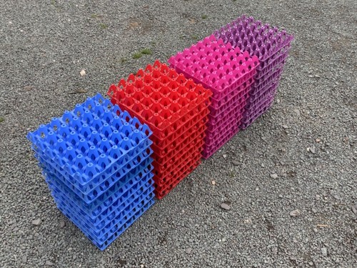 Plastic egg trays - 5x,