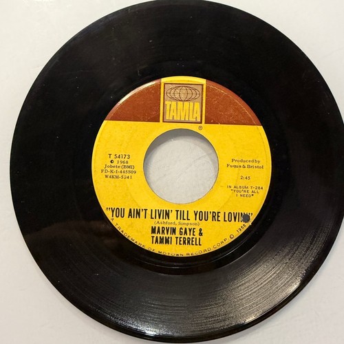 Marvin gaye tammi terrell - marvin,