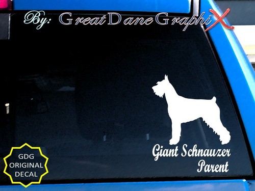 Giant schnauzer mom - schnauzer, -mom