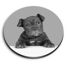 Round MDF Magnets - BW - Cute Old English Bulldog Puppy Dog #42763