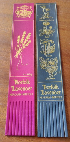 Norfolk lavender - norfolk, 🪻🪻
