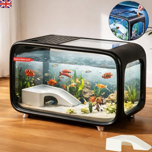 Compact betta fish tank - fish, kit