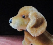 Vintage Steiff Bazi Dachshund 14x16+tail