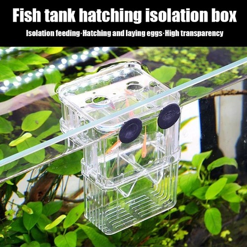 Aquarium breeding box fish fry - box,