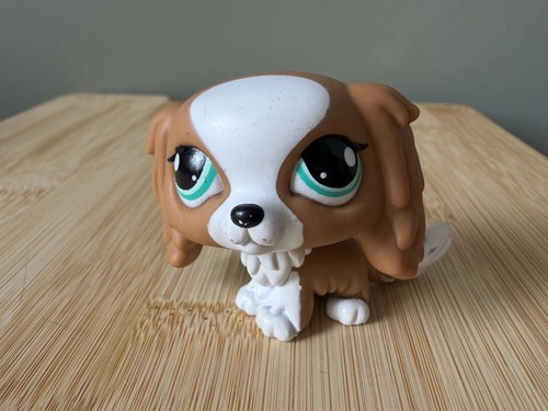 1825 king charles spaniel - king,